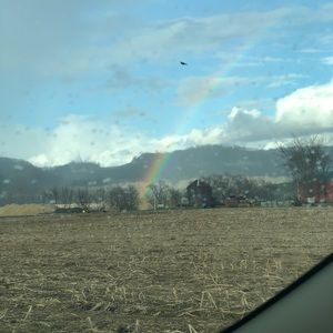 Meet your Posher, Ella